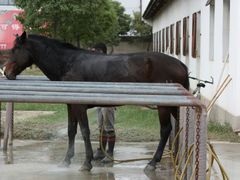 android_upload_pic-松声马术俱乐部