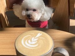 -2326 Coffee Roaster咖啡豆可选店(林肯公园店)