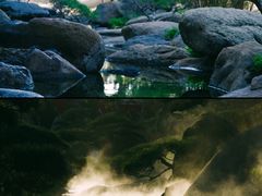 -罗红摄影艺术馆