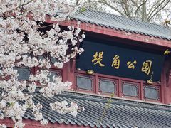 -堤角公园