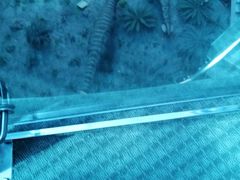 -辽宁古生物博物馆