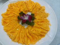 黄埔炒蛋-姚林轩