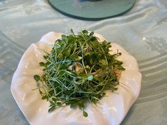 香椿苗拌桃仁-玉林烤鸭店(定福庄店)