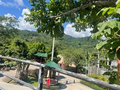 -海南槟榔谷黎苗文化旅游区