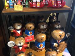 -猫咪博物馆(顶澳仔猫街店)