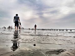 -南汇嘴观海公园