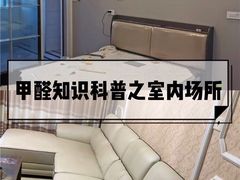 -叶子环保专业除甲醛(广州总部)