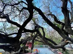-宗角禄康公园