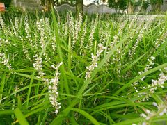 -邱少云烈士纪念馆