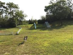 -上海崇明金茂凯悦酒店