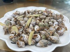 -三亚新鸿港水果一级批发市场
