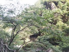 -浙北大峡谷