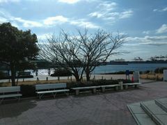 -台场一丁目商店街