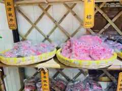 -苏州市吴中区光福窑上花果蜜饯厂