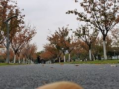 -安徽广播电视台