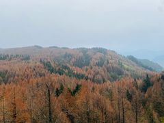 -山王坪喀斯特国家生态公园