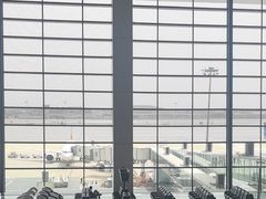 -郑州新郑国际机场-T2航站楼
