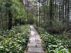 -长春净月潭风景名胜区