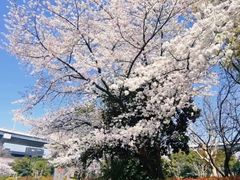 -南浦大桥长途旅游客运站