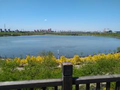 -天津东丽湖风景区