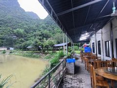 -银峰农庄·特色烧鸡·鲜无花果浸鸡