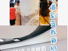 -兰熊鲜奶(西直门凯德mall店)