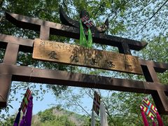 -西双版纳原始森林公园