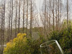 -梅林春晓花园餐厅