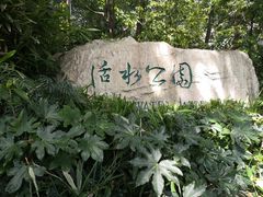 -成都市活水公园