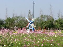 -田园东方蜜桃村的田野营地