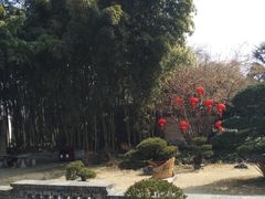 -水绘园