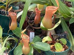 -国家植物园南园