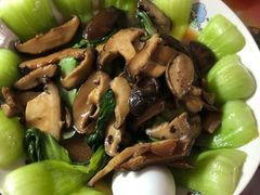 -葱妈母婴医护月嫂中心(浦东店)