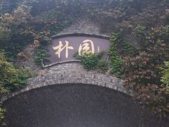 -朴园