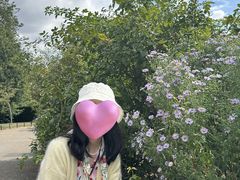 -海德公园