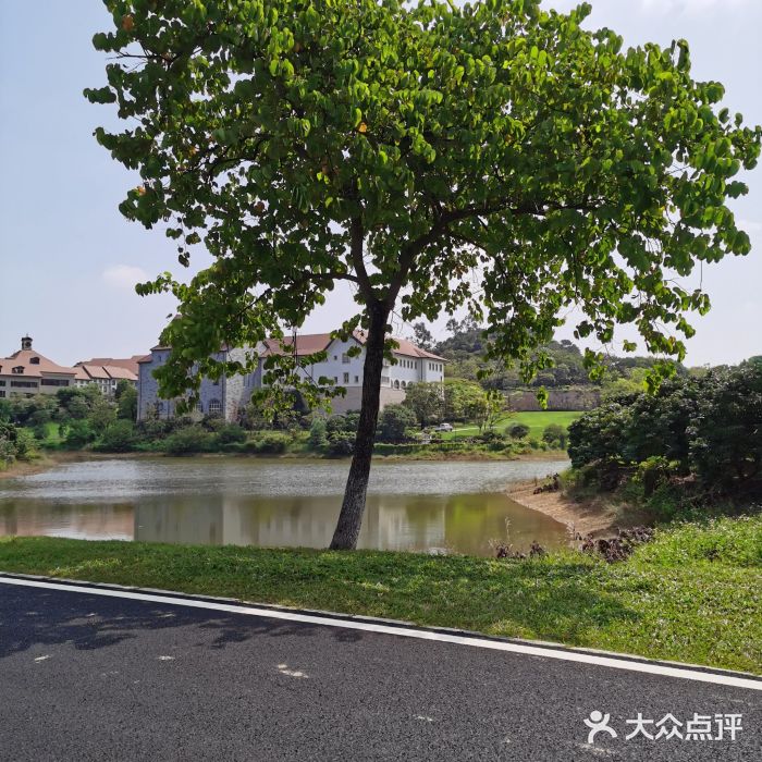 松山湖南湖湾露营营地图片