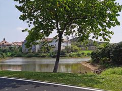 -松山湖南湖湾露营营地