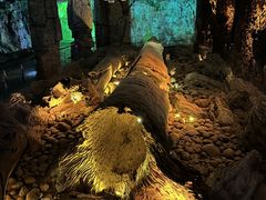 -乐山乌木文化博览苑