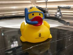 -广州富力丽思卡尔顿酒店