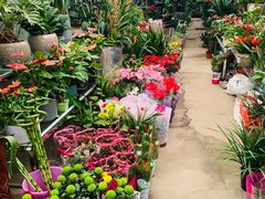 -金陵花卉交易市场