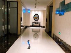 -亢龙太子酒轩(东湖店)