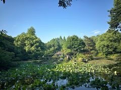 -杭州植物园