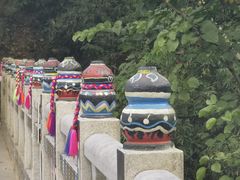 -西双版纳原始森林公园