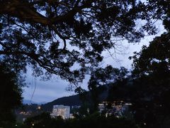 -大埔公路-马料水段香港中文大学(公交站)