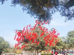 -深圳湾公园(南山区)