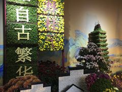 -杭州植物园