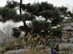 -河南省黄河迎宾馆