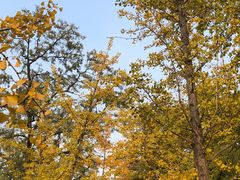 -邵汇大虾(泉园一路店)