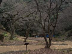 -岚山猴子公园