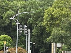 -重庆彩云湖湿地公园